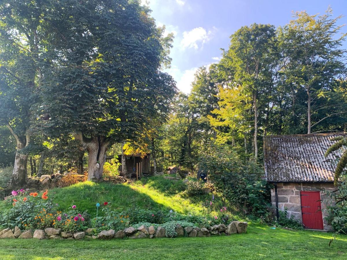 Farm Stay Happy Dogs Ranch Veberöd Exteriér fotografie