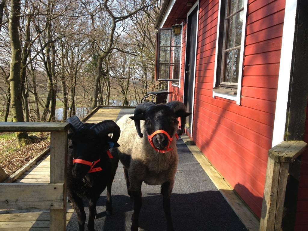 Farm Stay Happy Dogs Ranch Veberöd Exteriér fotografie