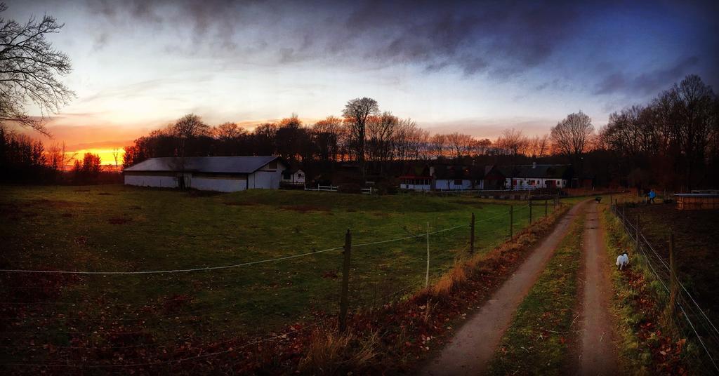 Farm Stay Happy Dogs Ranch Veberöd Exteriér fotografie