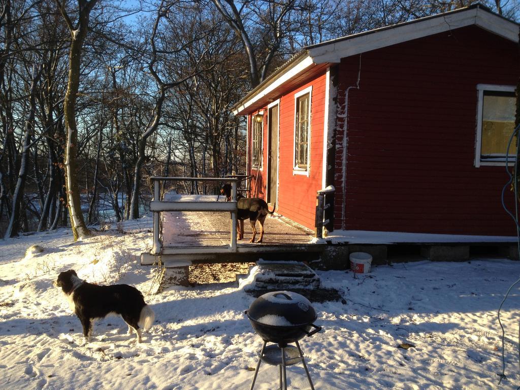 Farm Stay Happy Dogs Ranch Veberöd Exteriér fotografie