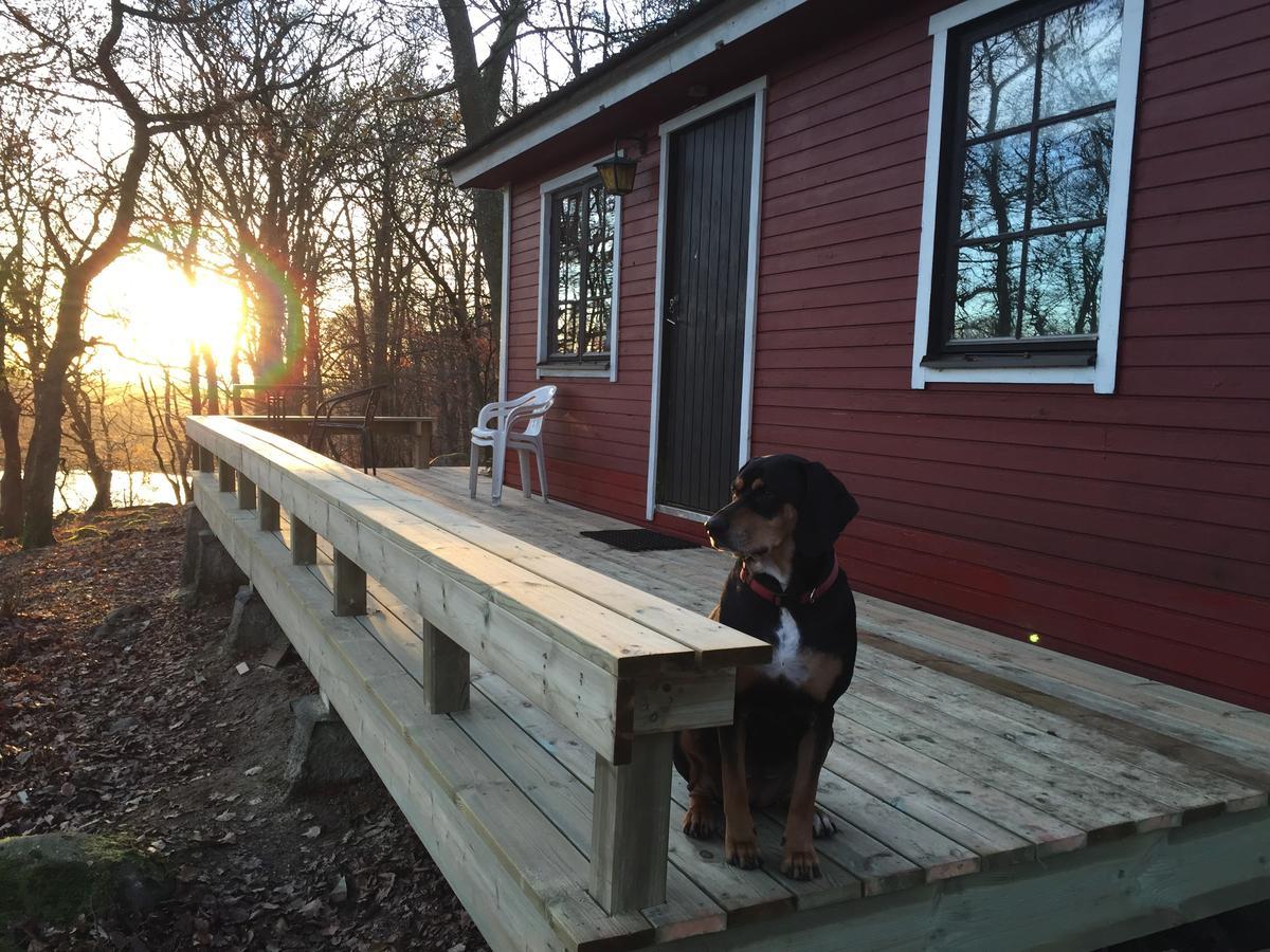 Farm Stay Happy Dogs Ranch Veberöd Exteriér fotografie