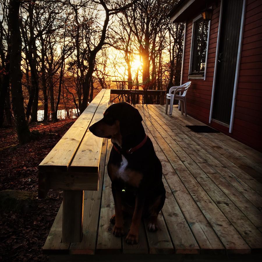 Farm Stay Happy Dogs Ranch Veberöd Exteriér fotografie